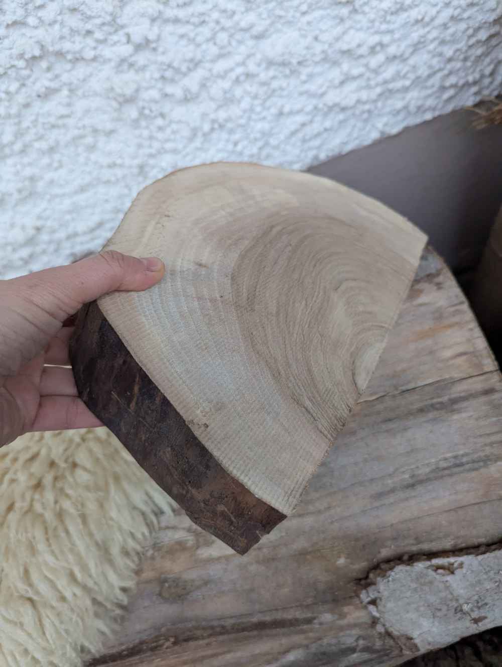 Eichenholzsstück Deko